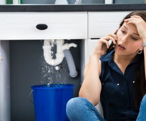 About Sewer Line Pros McWilliams, AL